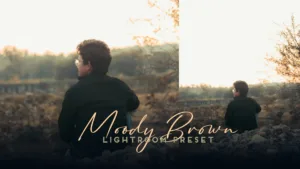 Moody Brown Lightroom Preset
