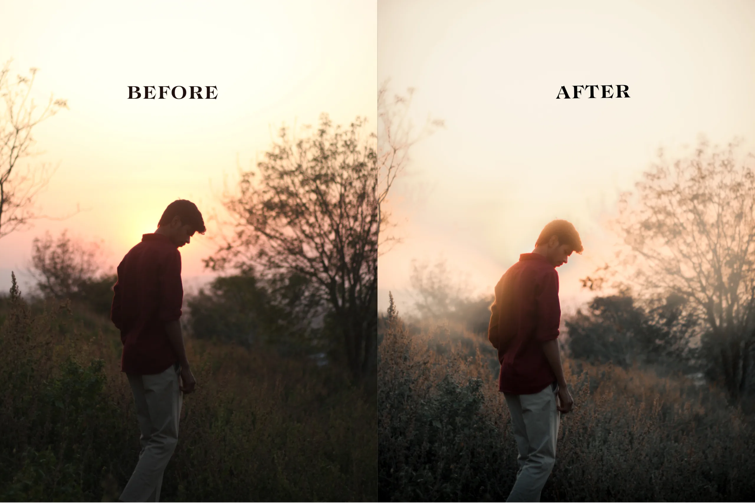 Golden Dusk Lightroom Preset
